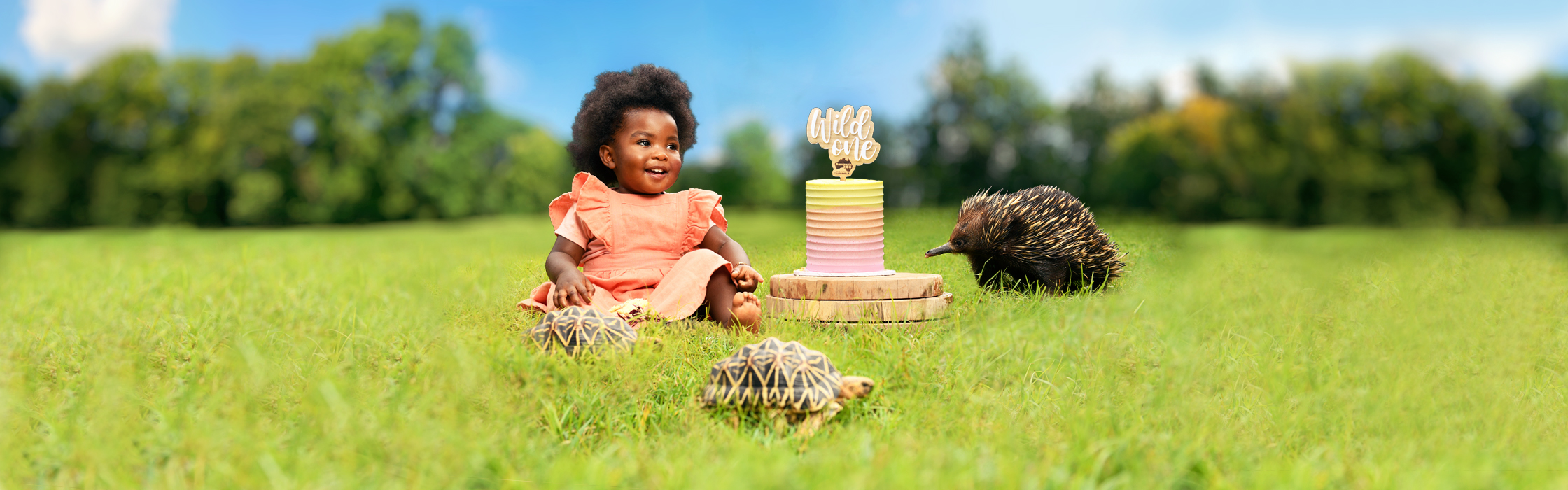 7021_BABY_CAKE_SMASH_WEB_BANNERAZ-Desktop-HP-Image-2240x700-1