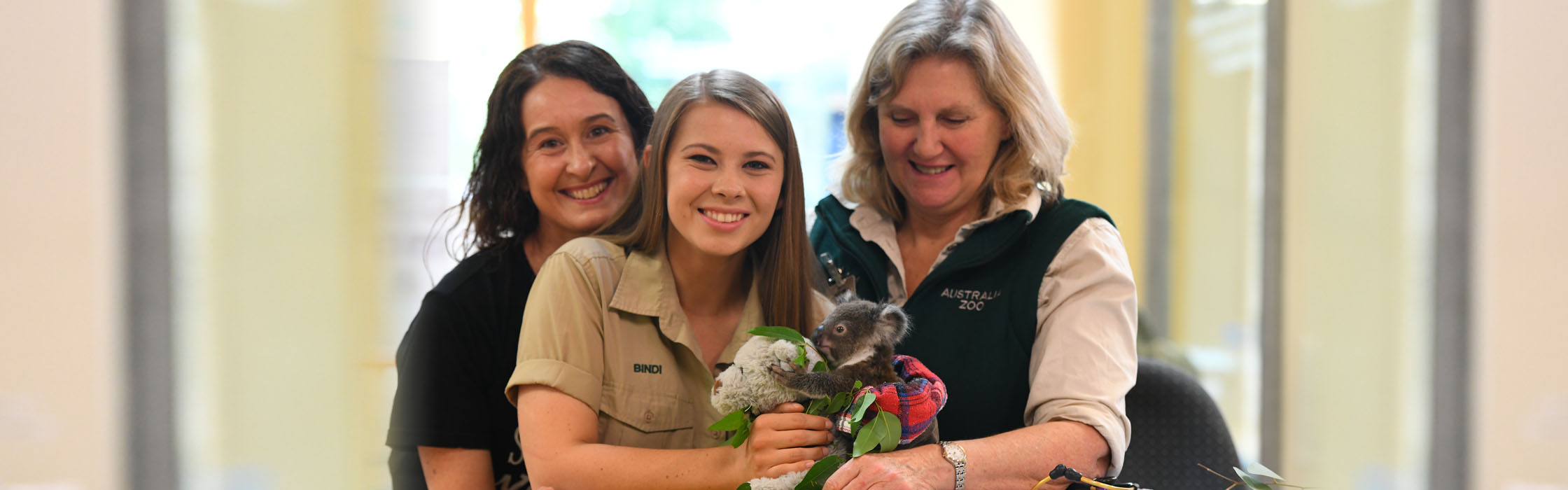 Experiences - Animal Encounters - Australia Zoo Wildlife Hospital Sneak Peek2240x700