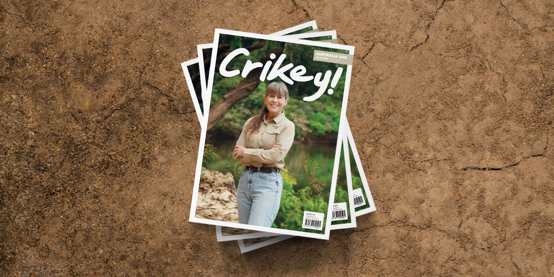 Crikey Mag
